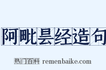 阿毗昙经造句是什么意思的图片